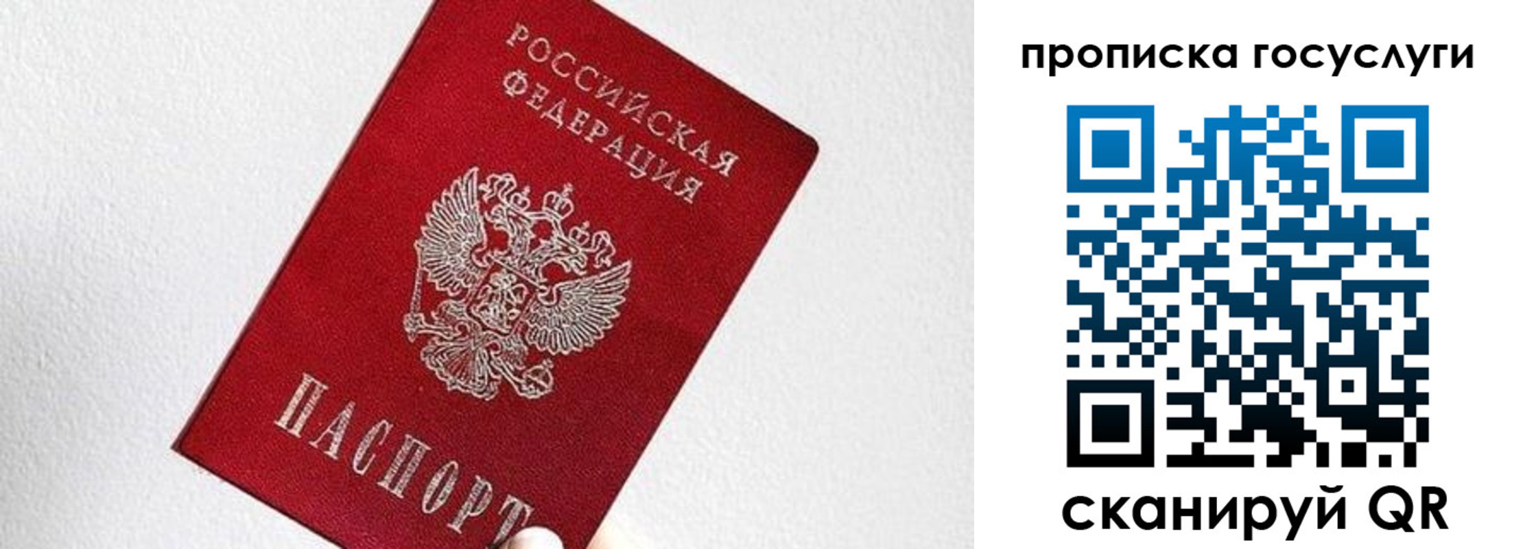 прописка законно в Пущино
